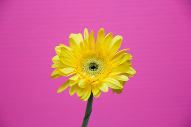 Similar image 21006675