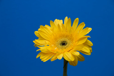 Similar image 21006678