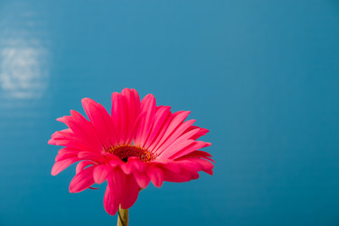 Similar image 21006707