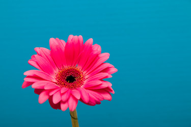 Similar image 21016928