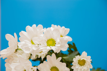 Similar image 21016929