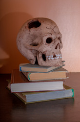 Similar image 21006769