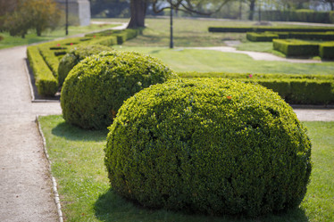 Similar image 20985504