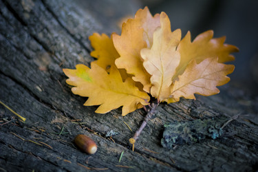 Similar image 20985511