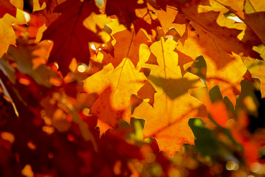 Similar image 20985512