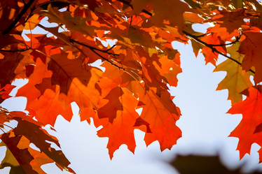 Similar image 20985513