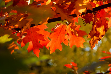 Similar image 20985514