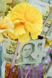 Similar image 20987236