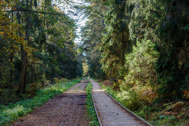 Similar image 20987137