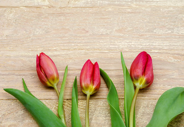 Similar image 20987138