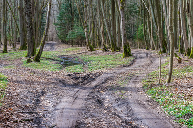 Similar image 20987142