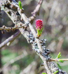 Similar image 20987145