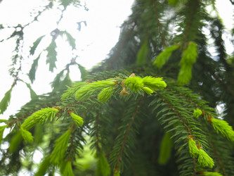 Similar image 20987147