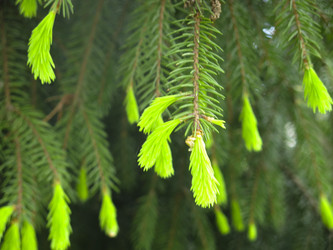 Similar image 20987148