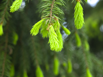 Similar image 20987149