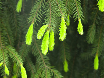 Similar image 20987150