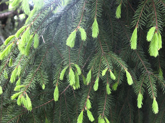 Similar image 20987151