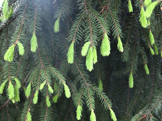 Similar image 20987152