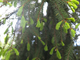 Similar image 20987153