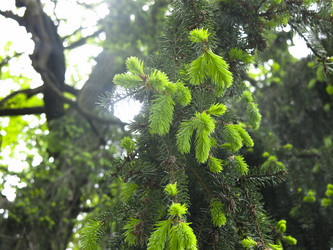 Similar image 20987154