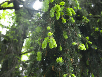 Similar image 20987155