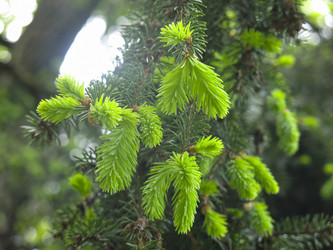 Similar image 20987156