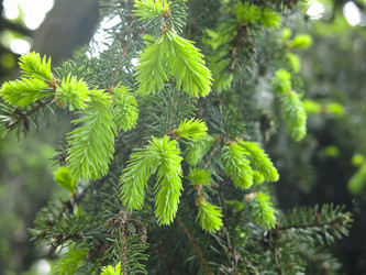 Similar image 20987157