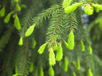 Similar image 20987158