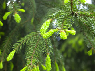 Similar image 20987159