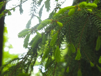 Similar image 20987160