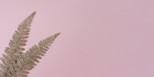 Similar image 20987249