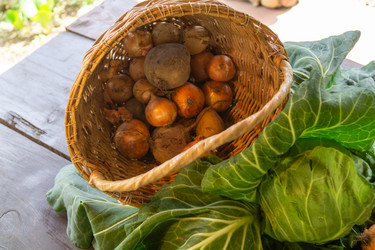 Similar image 20987720