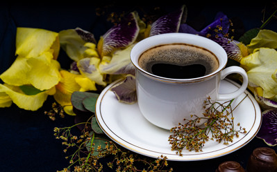 Similar image 20992162