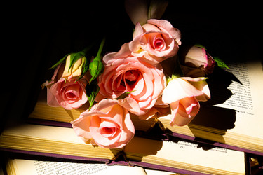 Similar image 20992163