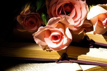 Similar image 20992165