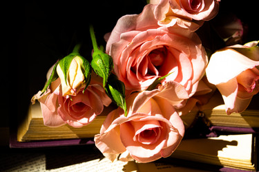 Similar image 20992166