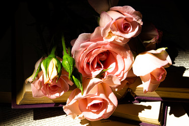 Similar image 20992167