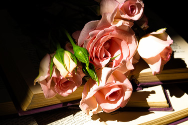 Similar image 20992168