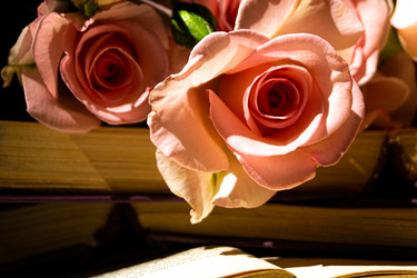 Similar image 20992170