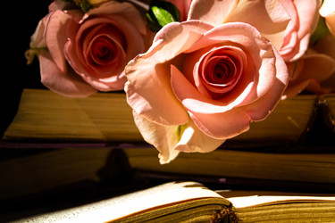 Similar image 20992171