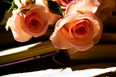 Similar image 20992172