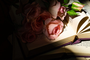 Similar image 20992176