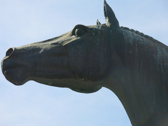 Similar image 20987161