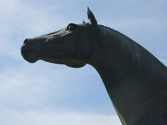 Similar image 20987162