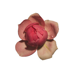 Similar image 20997928