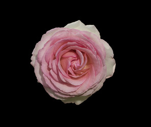 Similar image 20997934