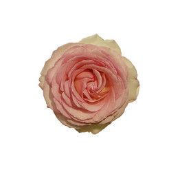 Similar image 20997935