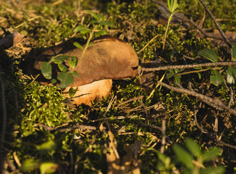 Similar image 20997937