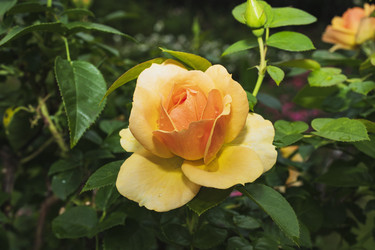 Similar image 20997939