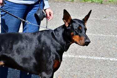 Similar image 20987774